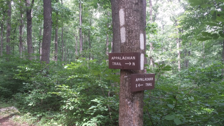 Trail directional signs in Virginia